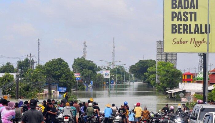 Jokowi Turun Tangan Tinjau Penanganan Banjir Demak Hari Ini